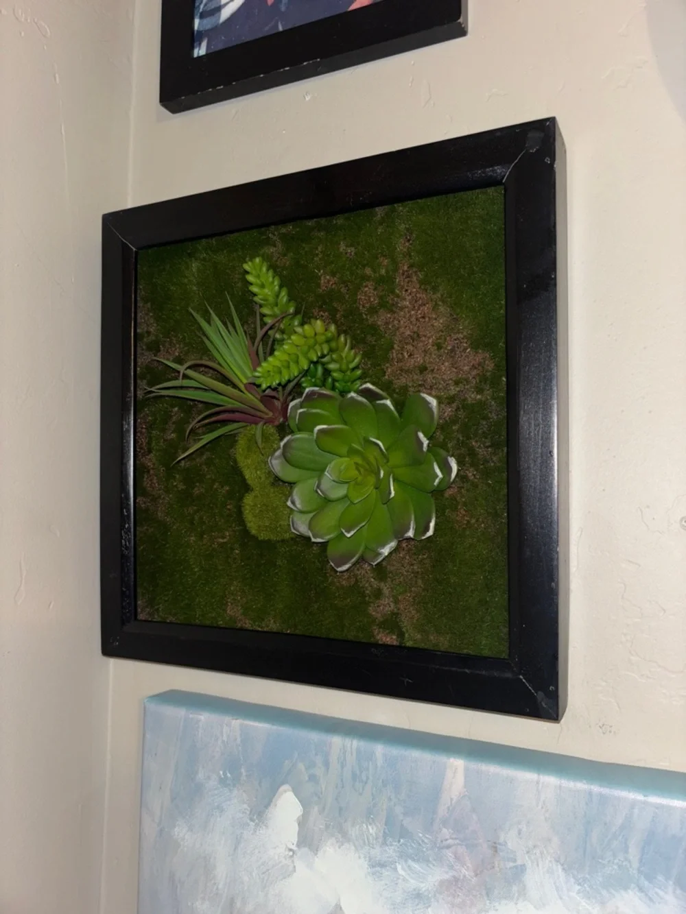 Framed Green Succulent Moss Wall Art - Decorative Plant Plaque